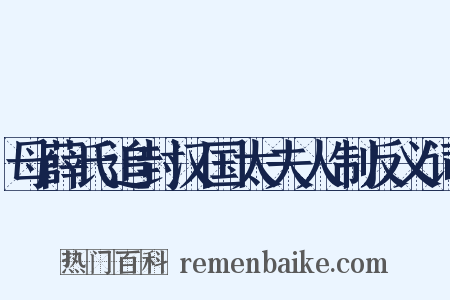 母薛氏追封汉国太夫人制反义词是什么意思的图片